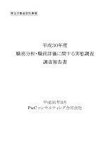 平成３０年度　職務分析・職務評価に関する実態調査　調査報告書
